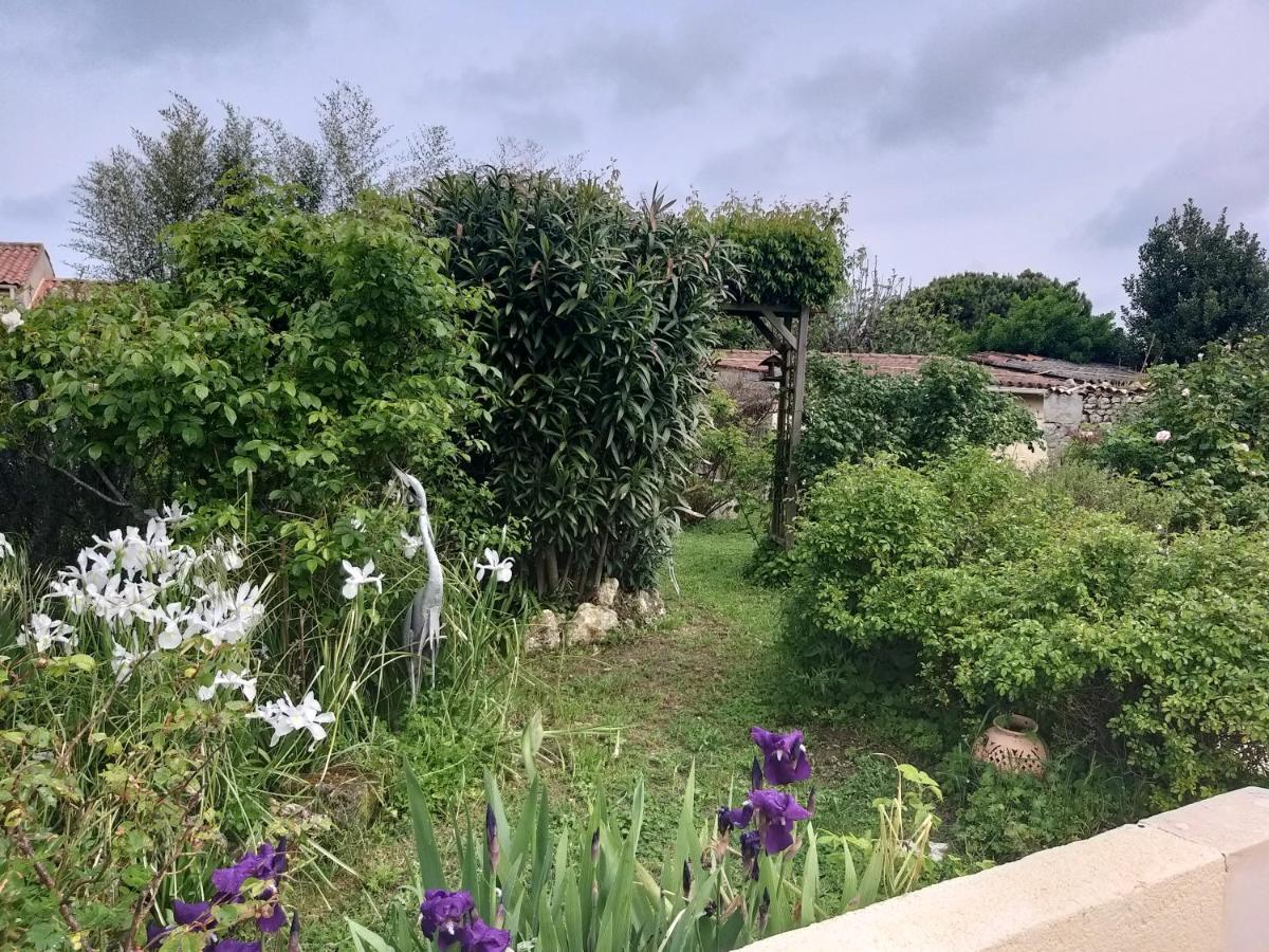 Maison Althea Rosea - 3 Chambres Et Piscine Nieulle-sur-Seudre Esterno foto