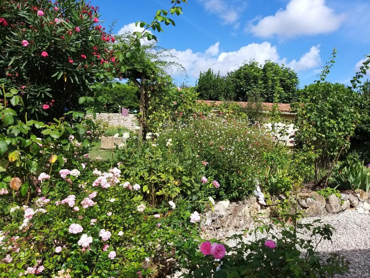 Maison Althea Rosea - 3 Chambres Et Piscine Nieulle-sur-Seudre Esterno foto
